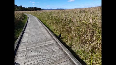 Tamar Island Hike and my FIRST video EVER