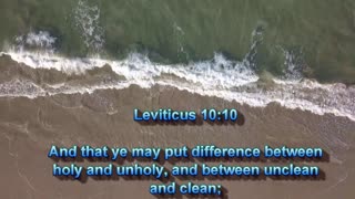 Leviticus 10:10 with ocean waves