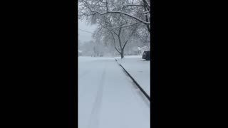 Raw Video (4) - March 3, 2023 Snowfall in Kalamazoo, Michigan