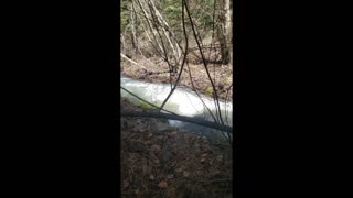 Beautiful Spring run off Ladd Canyon, Oregon