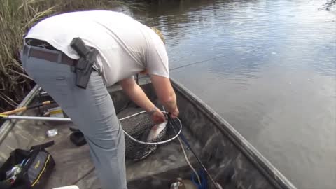 Charleston Redfish Rumble