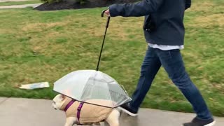 Coco Has Her Own Umbrella