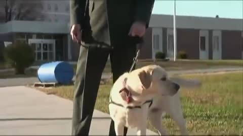 Soldier Walks Into A Prison With A Dog. Now Watch The Pup’s Reaction When He Sees THIS Inmate…