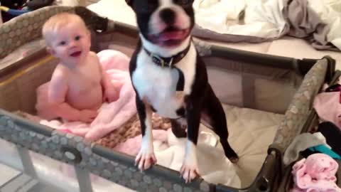 Mom tells the dog to get out of the crib, but he disobeys her in a hilariously sweet way