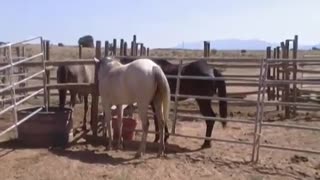 Bonanza Creek Old West Movie Set Santa Fe, NM Part 2