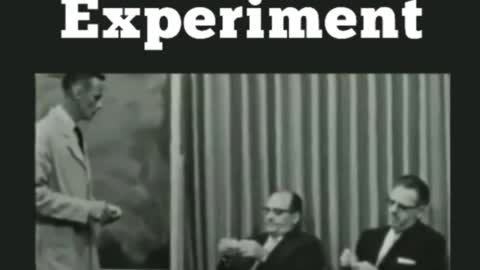 Milgram Experiment