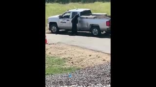 Bear Breaks into Truck and Leaves with Lunch