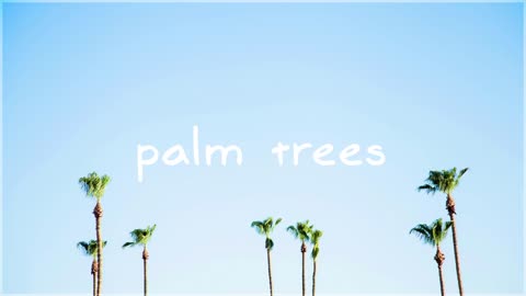 Free Music-MBB-Palm Trees