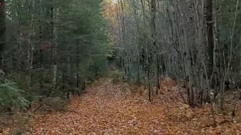 Maine ATV Ride