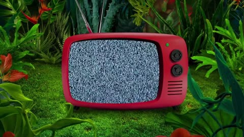 1 Hour Retro Tv No Signal White Noise