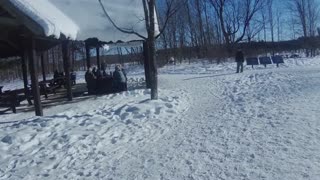 A walk at Mer Bleue Bog in Ottawa Ontario.