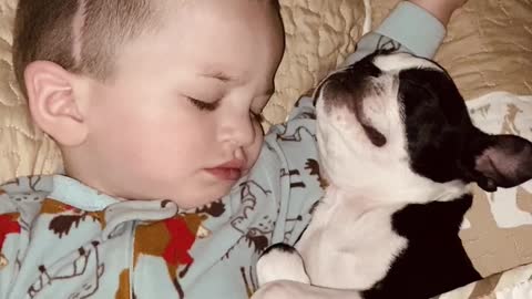 Cuddles and Snores While Snoozing With Special Friend