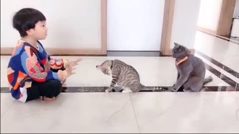 Funny Cats And Babies Playing Together enjoy
