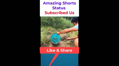 Snake Caught Technique by Amazing Shorts Status #shorts #trending #Trend #viralshorts