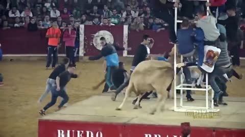 Dangerous Bull Fight Accidents Compilation and Funny People
