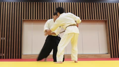 Meishinryu Aiki Jujutsu - Steven Seagal's Aikido
