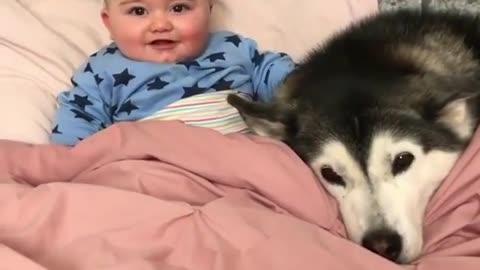 dog sleeping with baby