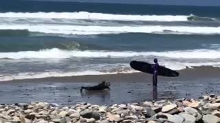 Guy laying on sand trying to take picture of surfer wave rolls over