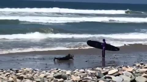 Guy laying on sand trying to take picture of surfer wave rolls over