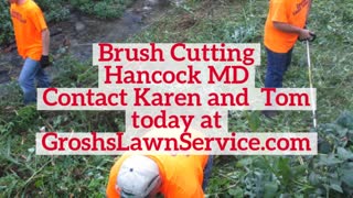 Brush Cutting Hancock MD Brush Removal Landscaping Contractor