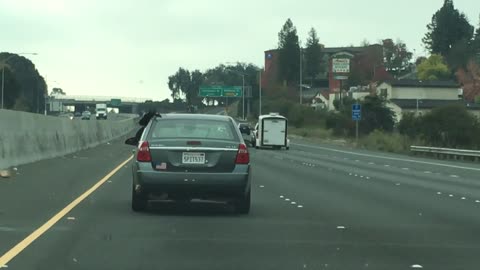 Long Dread Locks Hanging Out Of The Window On The Freeway!