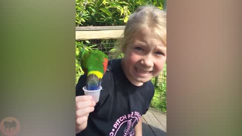 Bird Makes Girl Freak Out