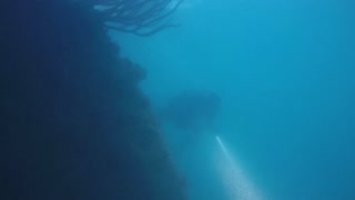 Bermuda Belle Wreck and the Taifun wreck