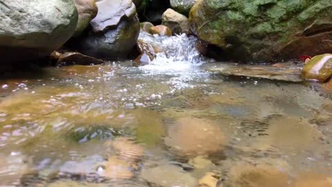 Brooks River Crystal Clear Water Drops Off