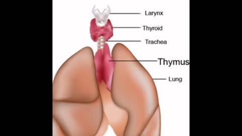 WHAT IS LUNG CANCER I Lung transplant surgeon Delhi/Delhi NCR | Dr. Pramoj Jindal