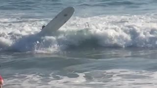 Woman flipped over by wave on board
