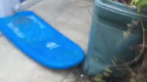 Guy uses blue board to go down stairs