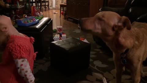 Cute Little Girl Teaches Big Dog To Howl