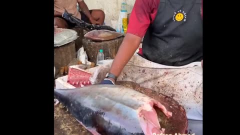 BIG TUNA FISH CUTTING BY SPEED SELVAM HD VIDEO #kasimeduselvam #shorts #bigfishcutting #bigfish