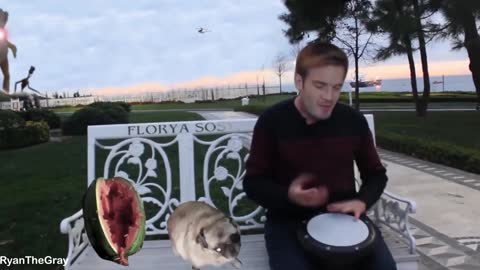 Pewdiepie drum