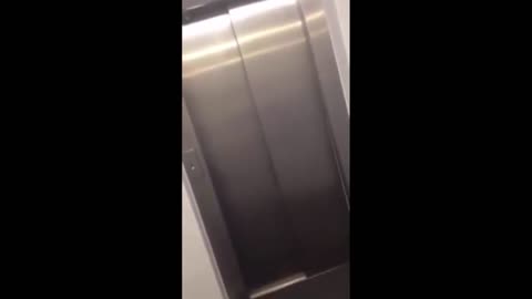Singing In Elevator