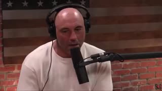 Joe Rogan on Pedophilia in Hollywood