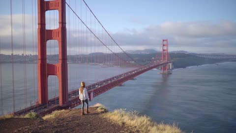 a majestic and intriguing bridge