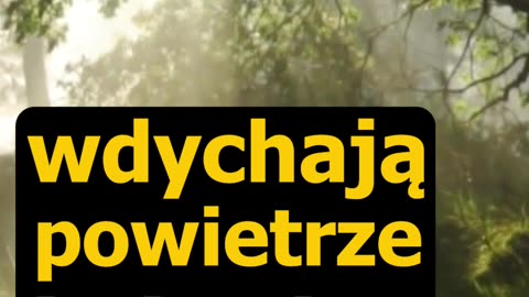 Dotlenienie - II filar: Aktywność fizyczna 🏃🏋️‍♀️, sport, 3 fragment... - P. K., CM VV