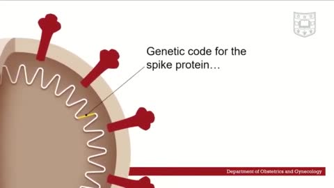 Video Education : COVID Vaccine: How it works I Animated Tutorial