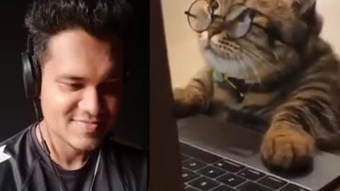 Reaction on cat funny clips 📎💞