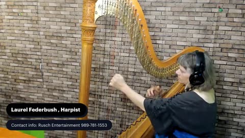 Laurel Federbush, Harpist