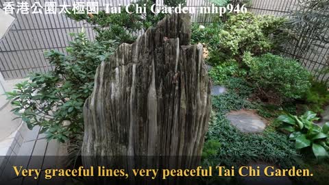 [另類公園] 香港公園太極園 Tai Chi Garden, mhp946, Dec 2020
