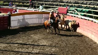 Rodeo in Chile