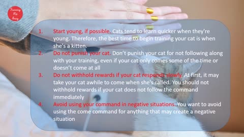 Train your cat to come when called