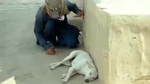 Funny video| man playing with dog|