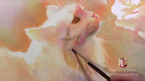 Watercolor Time Lapse - Cat