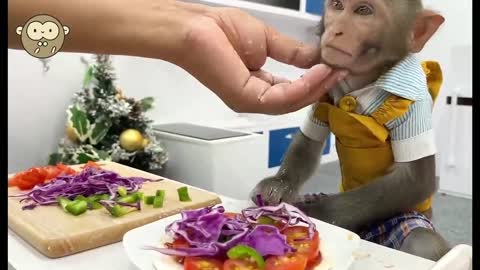 Monkey and Man Salad Season 2