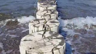 Breakwater logs in the sea