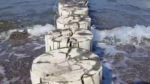 Breakwater logs in the sea