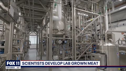 FDA Declares Lab-Grown Meat Safe for Consumption, But What Exactly Is It?